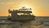 Wonderful sunset cruise