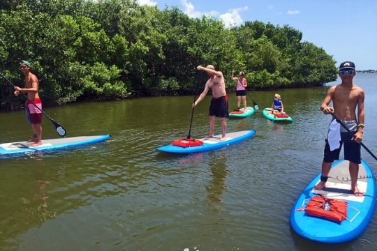 Full-Day Paddle Board Rental in Naples, Florida