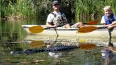 Great tour through the mangrove tunnels in the Everglades.