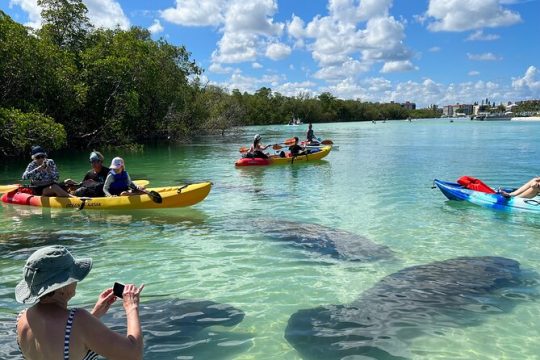 Guided Island Eco Tour - CLEAR or Standard Kayak or Board