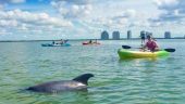 Fun experience kayaking