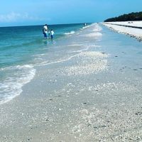 Private Sightseeing Tours