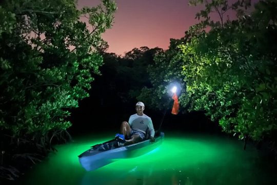 Guided Glow LED Kayak Sunset Activity in Bonita Springs
