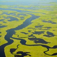 Cultural & Theme Tours