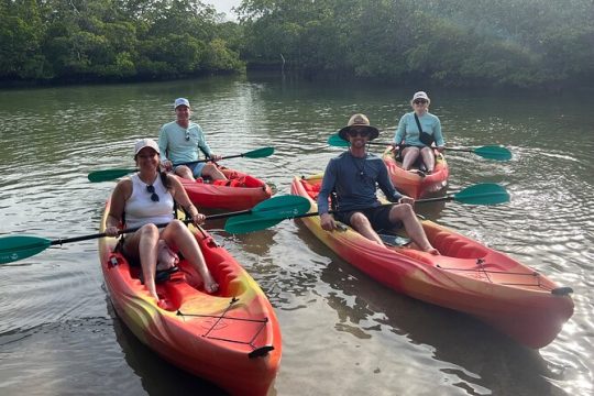 Naples Kayak Rentals, Self Guided Eco Experience