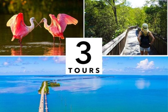 3 Days Private Sightseeing Audio Tour Visit to Florida