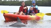 Cruising the mangroves