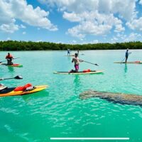 Stand Up Paddleboarding