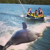 River Rafting & Tubing