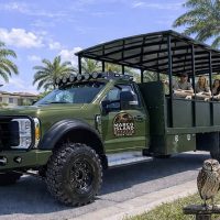 4WD, ATV & Off-Road Tours